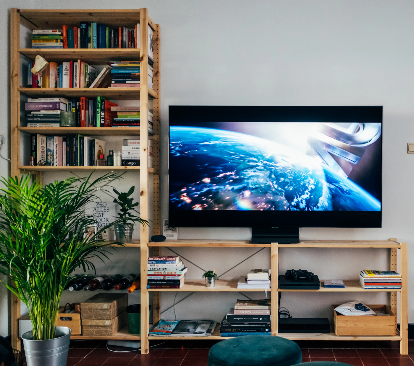 Flat-screen TV on a wooden shelving unit with books and plants
